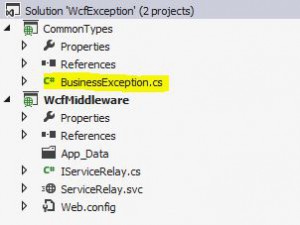 WCF Exception Handling CommonTypes